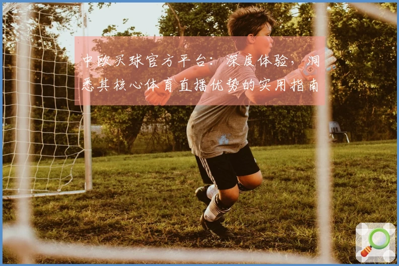 中欧买球官方平台：深度体验，洞悉其核心体育直播优势的实用指南